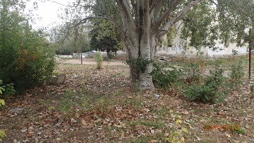 Корчагина 16а_1